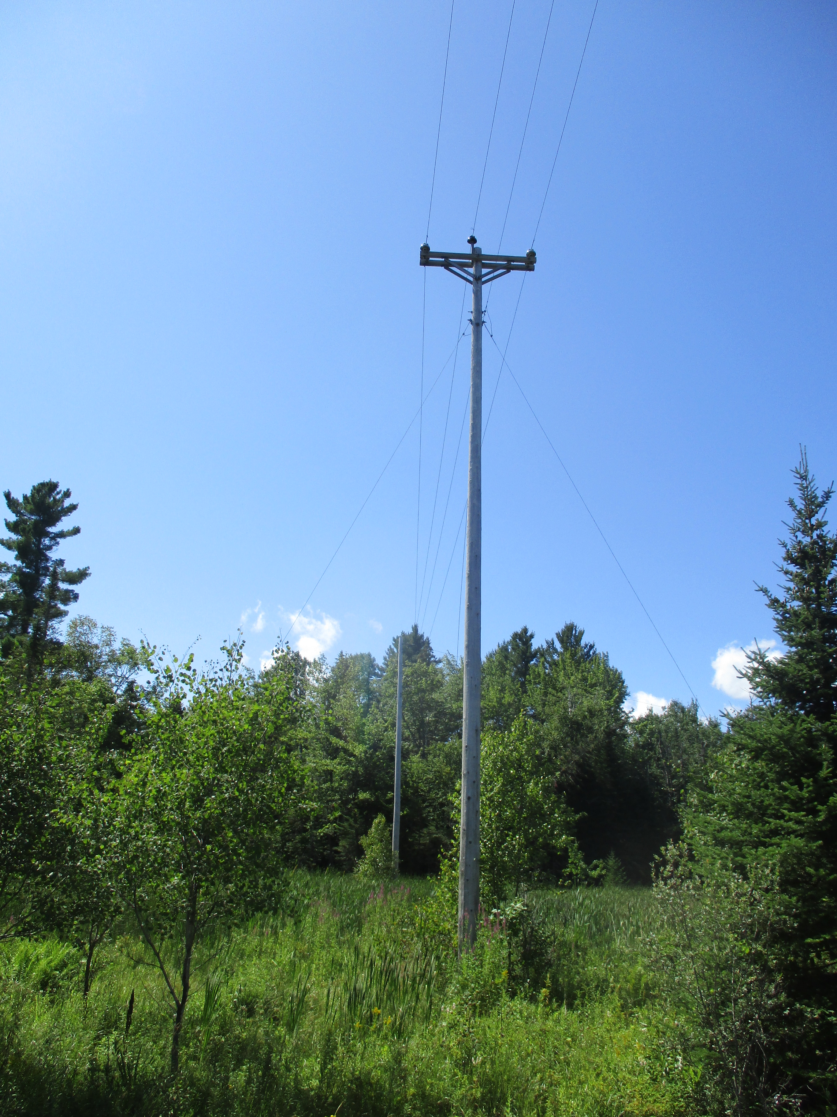 Pole Environmental Concern A