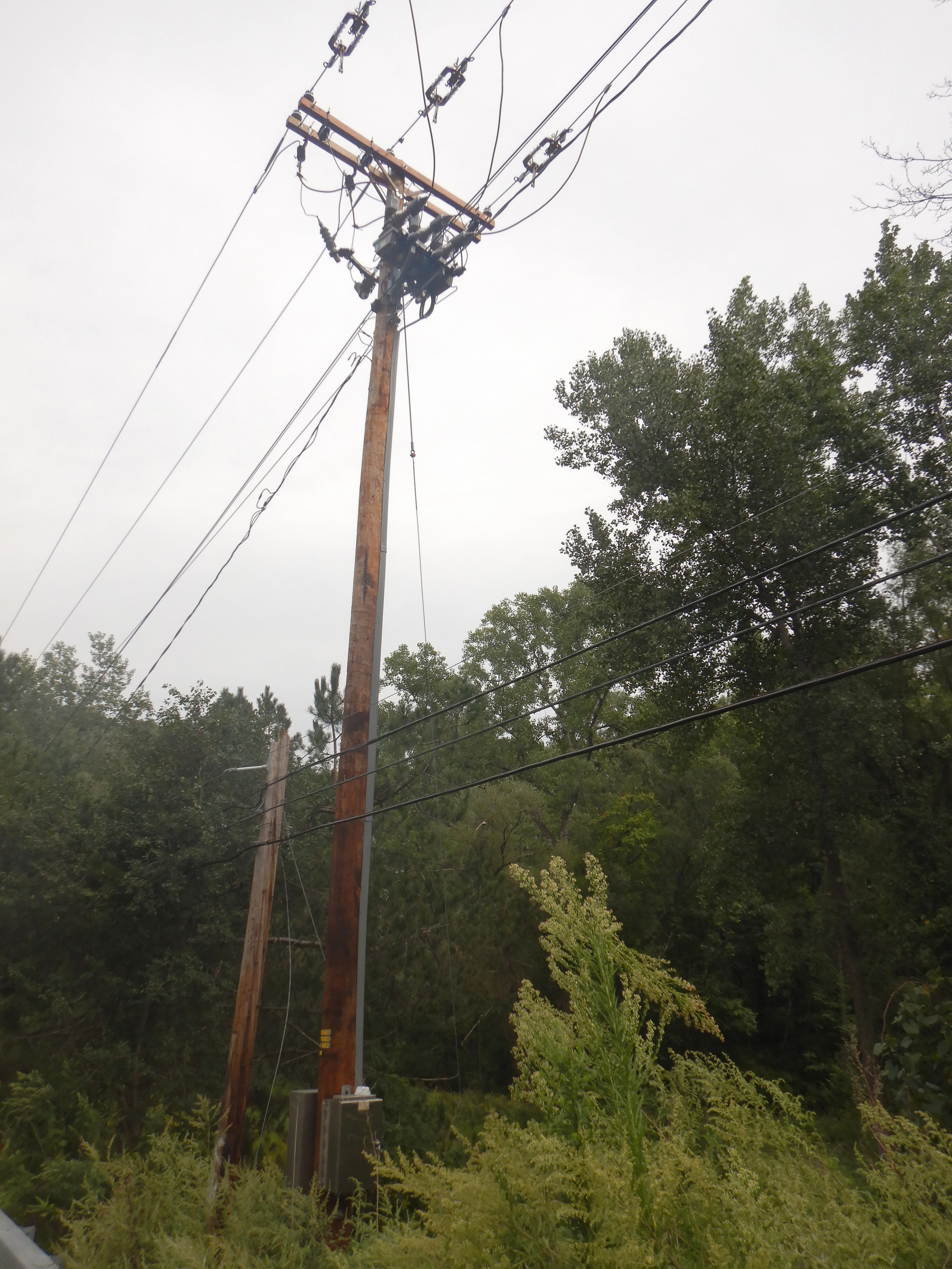 Pole Environmental Concern B