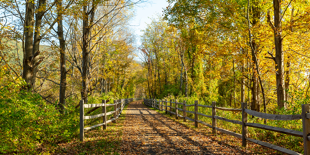 Harlem Valley Rail Trail