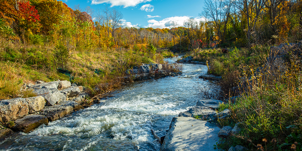 Tivoli Park Preserve Stream Daylighting